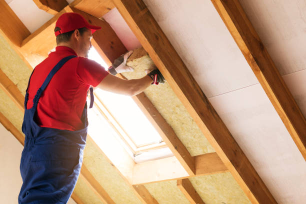 Types of Insulation We Offer in Holiday, FL